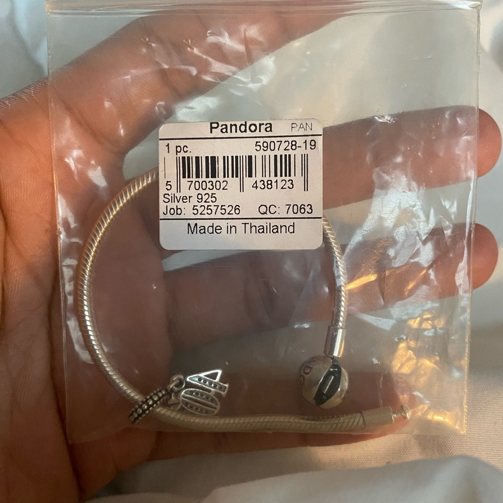 Pandora Snake Chain Bracelet ( Charm not included)